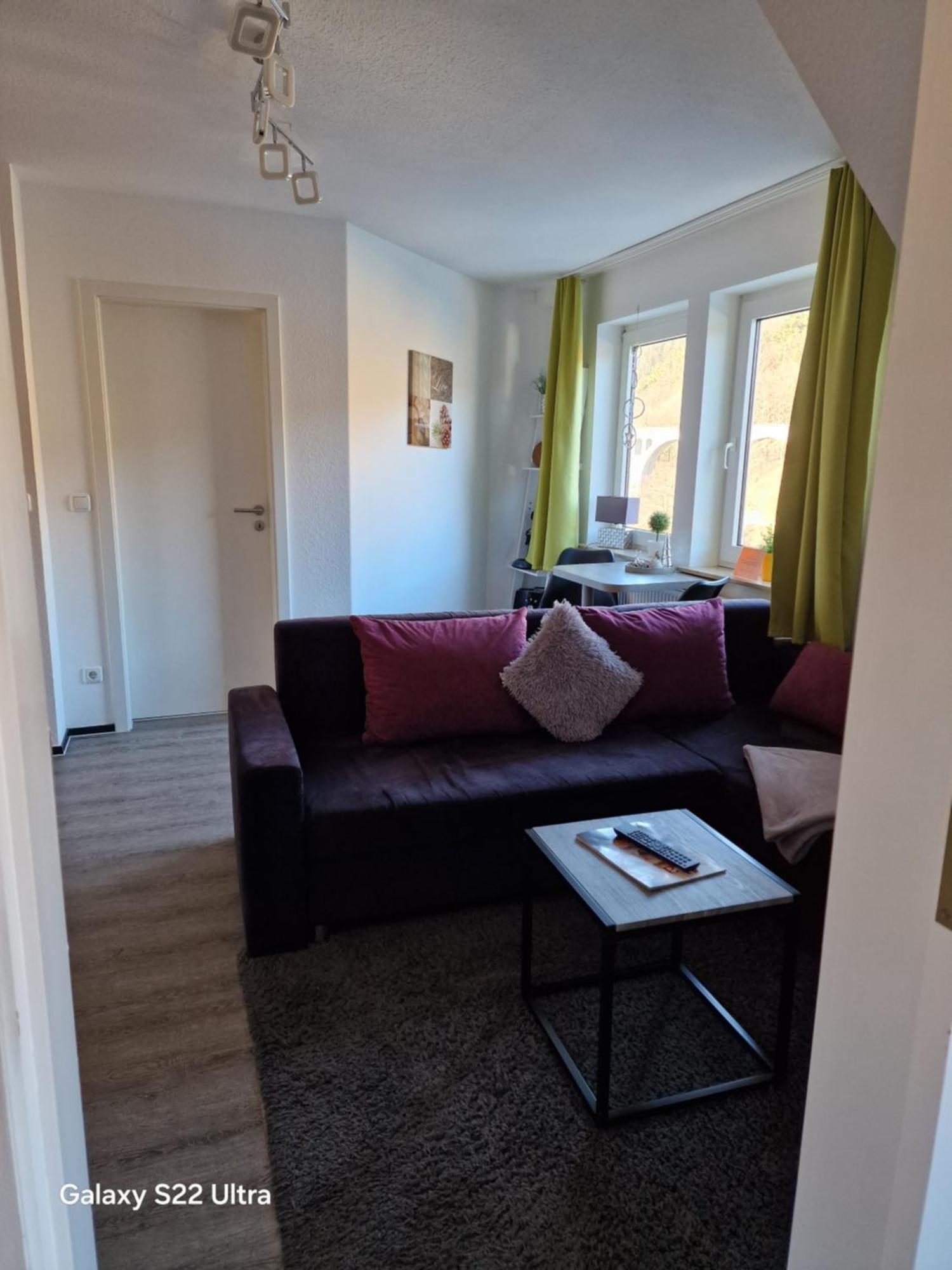 Ferienwohnung Vier Pfoten Willingen  Exterior photo