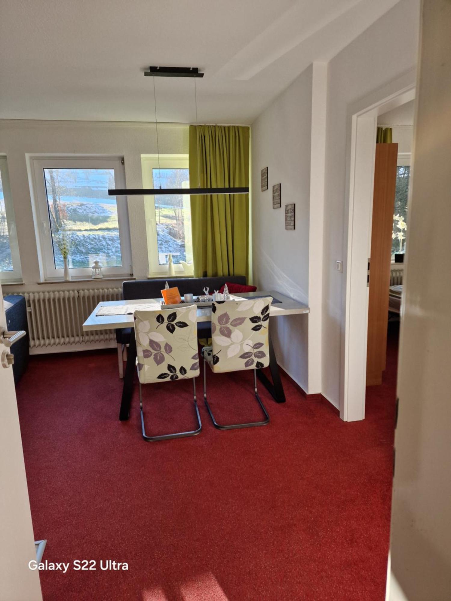 Ferienwohnung Vier Pfoten Willingen  Exterior photo